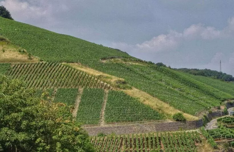 Ahrpart Hotel Central