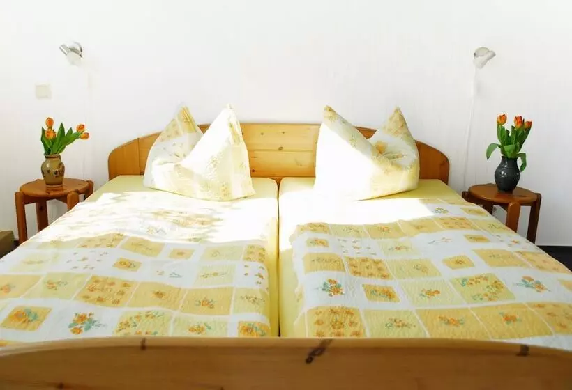 تختخواب و صبحانه Pension Alter Zausel