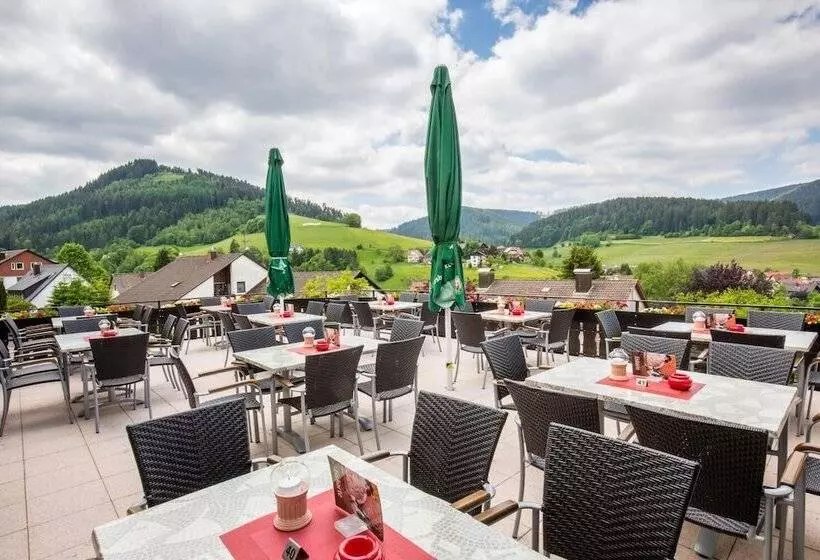Bsw Schwarzwaldhotel Baiersbronn