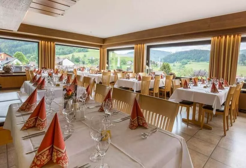 Bsw Schwarzwaldhotel Baiersbronn