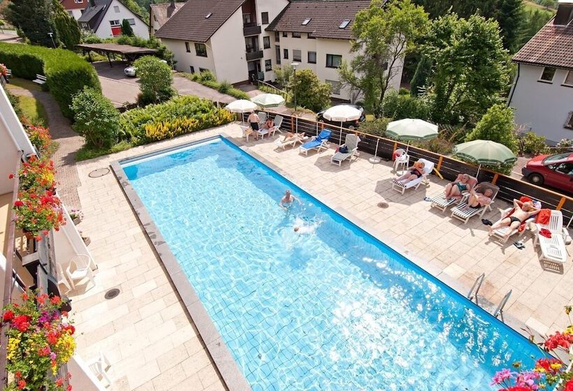 Bsw Schwarzwaldhotel Baiersbronn