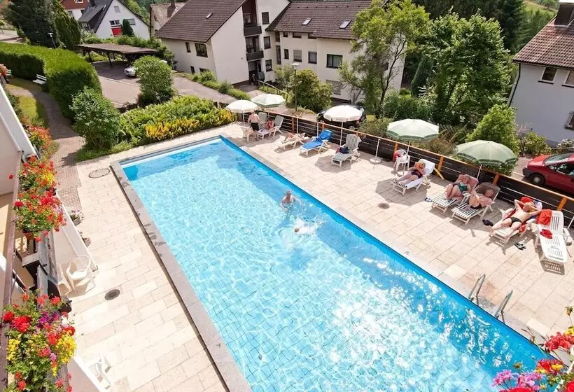 Bsw Schwarzwaldhotel Baiersbronn