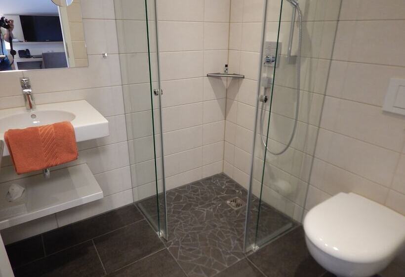 Bsw Schwarzwaldhotel Baiersbronn