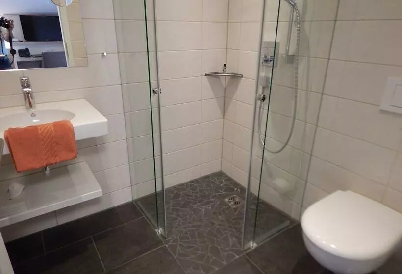 Bsw Schwarzwaldhotel Baiersbronn