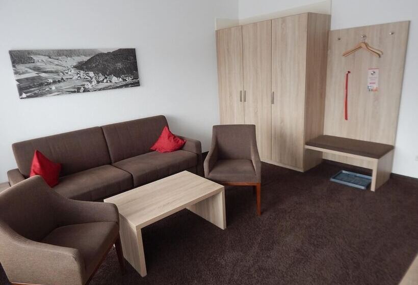 Bsw Schwarzwaldhotel Baiersbronn