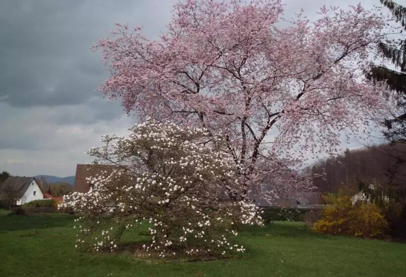 酒店 Forsthaus Alter Foerster