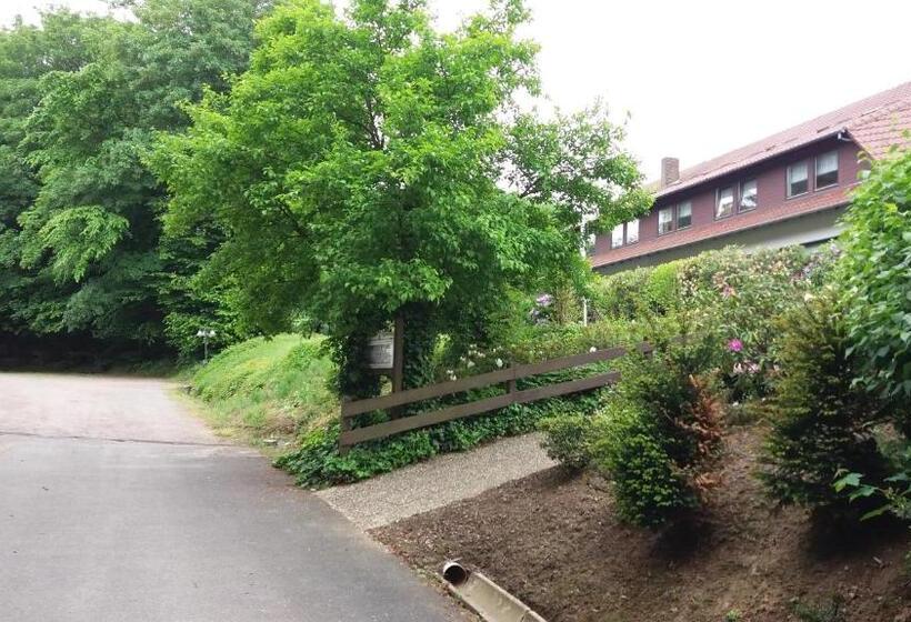 Отель Forsthaus Alter Foerster