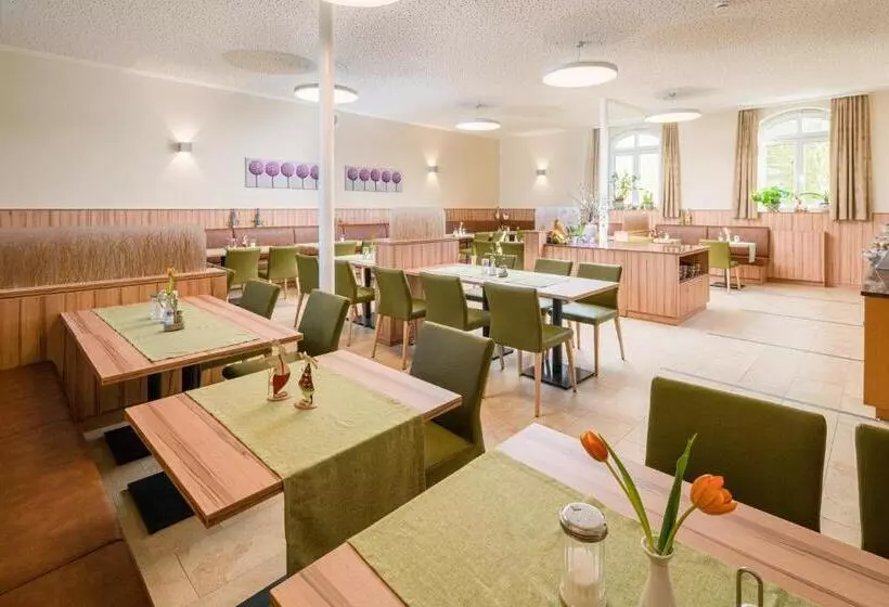 酒店 Goldener Löwe