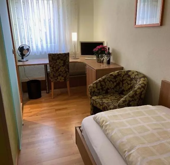 酒店 Goldener Löwe