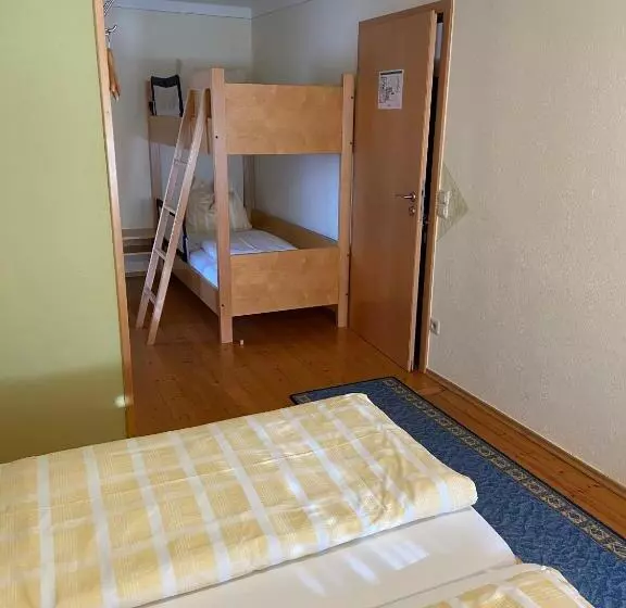 酒店 Goldener Löwe