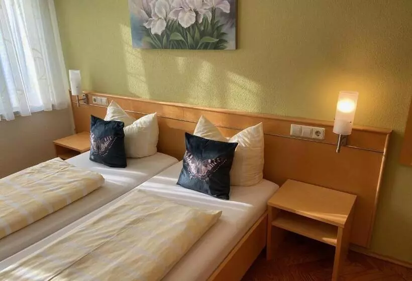 酒店 Goldener Löwe