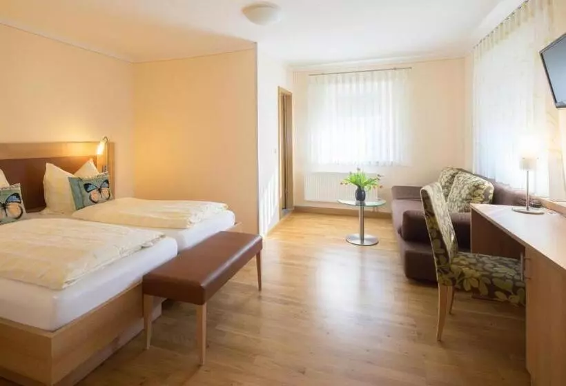 酒店 Goldener Löwe