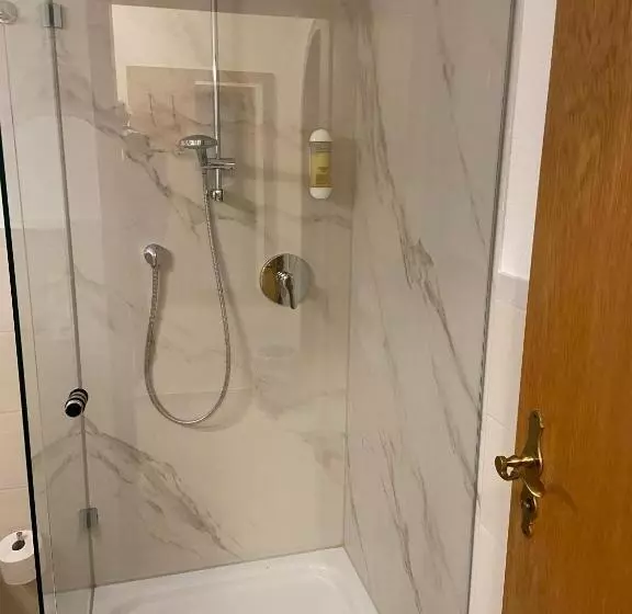 酒店 Goldener Löwe