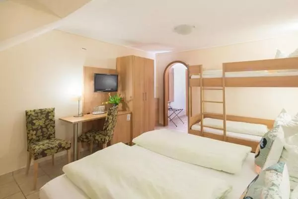 酒店 Goldener Löwe