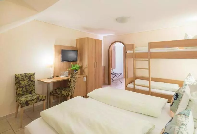 酒店 Goldener Löwe