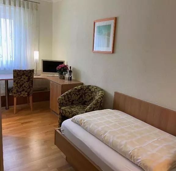 酒店 Goldener Löwe