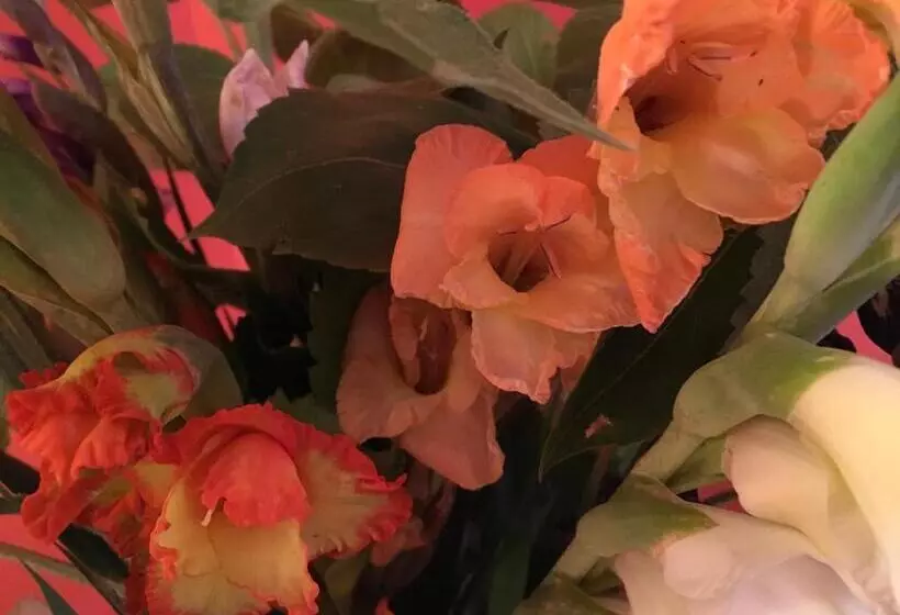 בית מלון כפרי Kaiserswerth