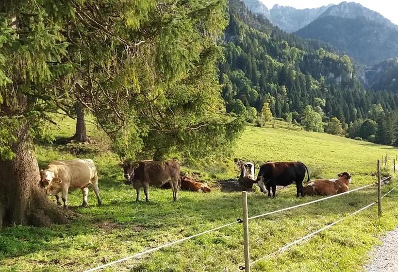 Отель Kleiner König