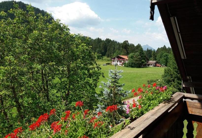 Отель Kleiner König