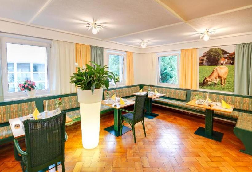 Отель Kleiner König