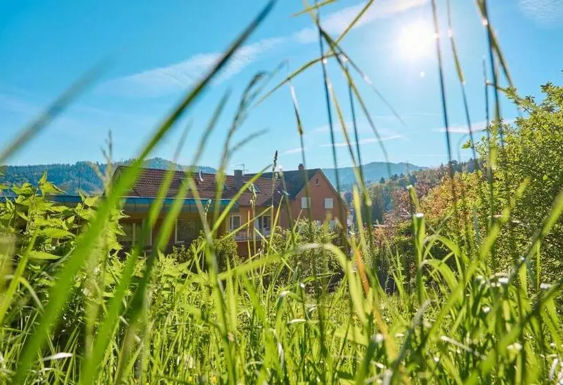 Szálloda Morgensonne