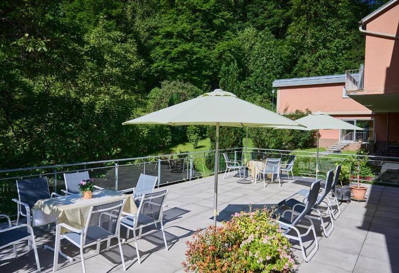 בית מלון כפרי Morgensonne