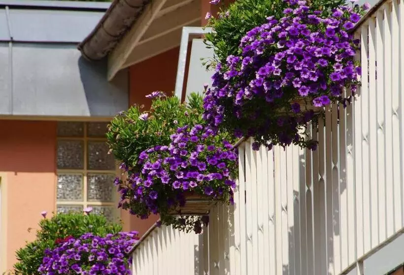 Szálloda Morgensonne