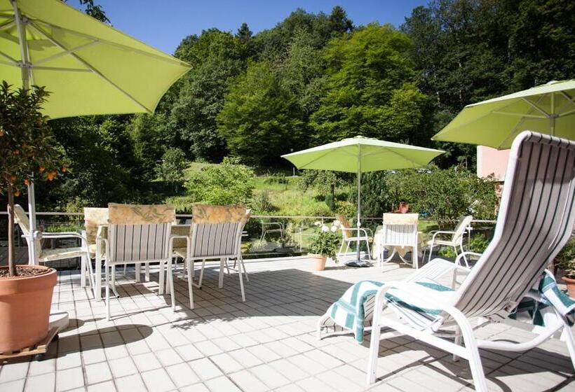 בית מלון כפרי Morgensonne