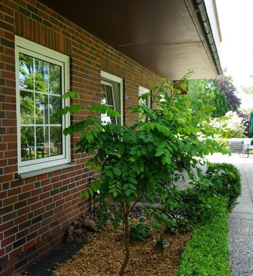 酒店 Niedersachsen Hof