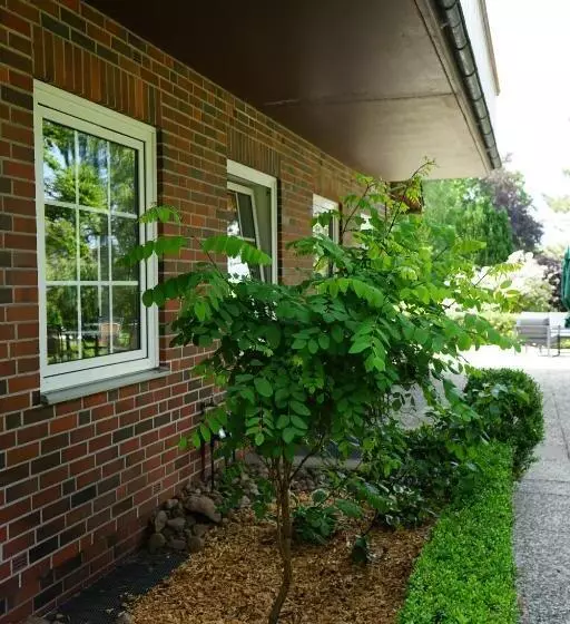 فندق Niedersachsen Hof