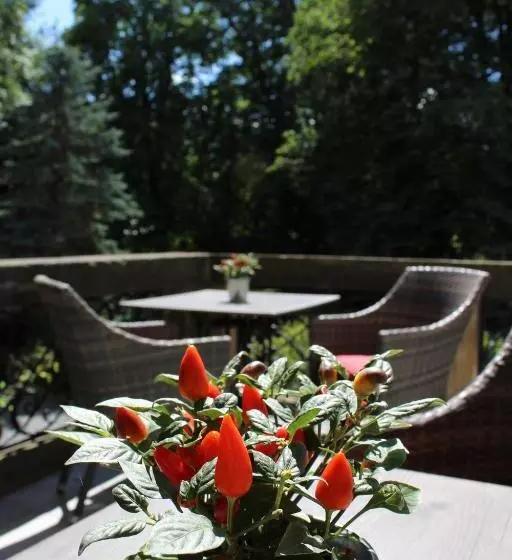 Schlosshotel Stecklenberg