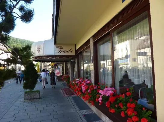 Hotel Traube