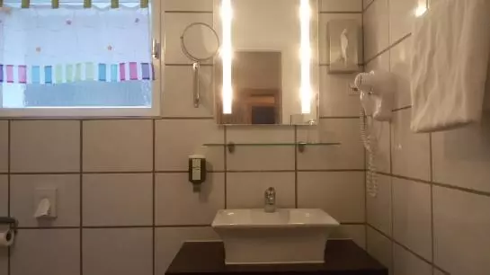 فندق Waldhaus Wolfental