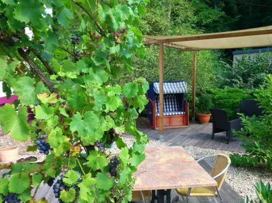 فندق Waldhaus Wolfental