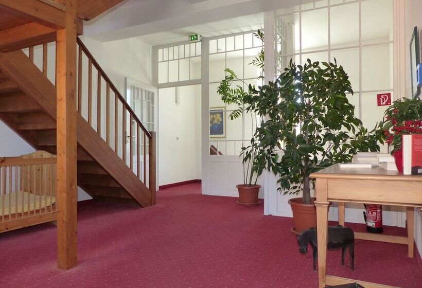 فندق Zum Brauhaus