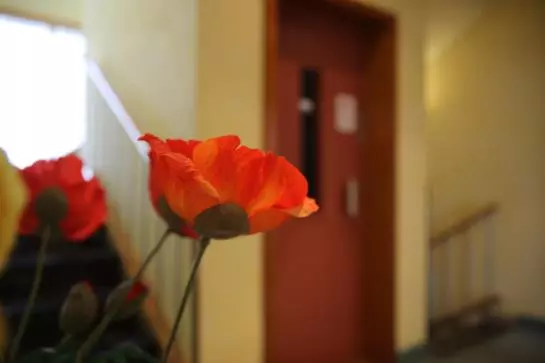 호텔 Zum Weißen Rössel