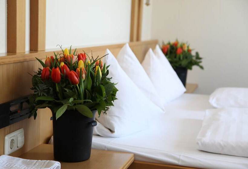 Пансион Brauereigasthof/hotel Bürgerbräu