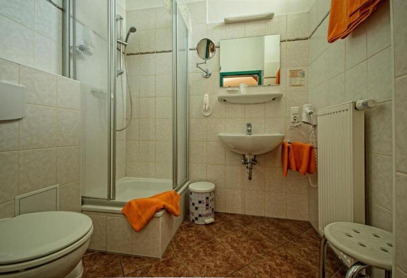 بنسيون Zur Henne