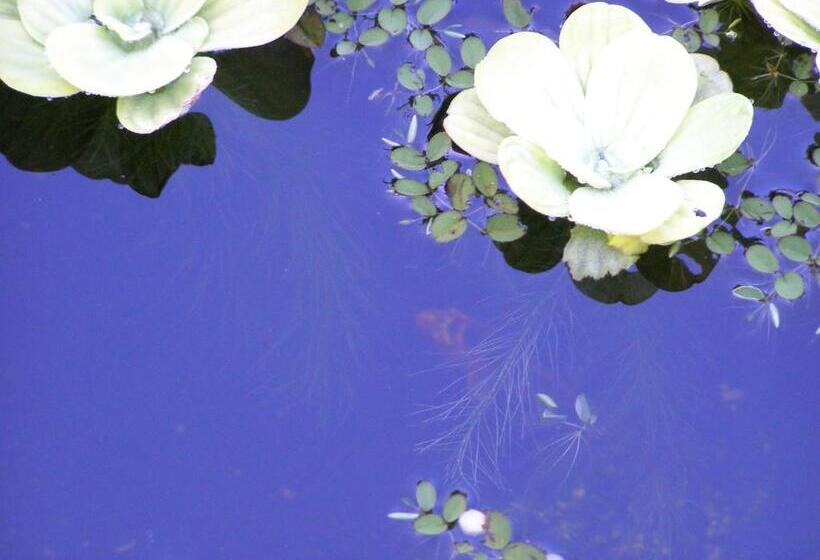 Pensiune Gästehaus Am Sonnenhügel