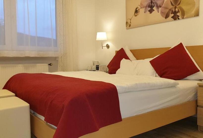 Pensiune Gästehaus Am Sonnenhügel