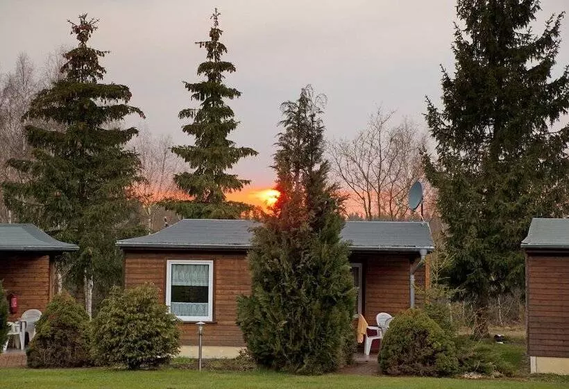 住宿加早餐  Waldoase Hirschbüchenkopf