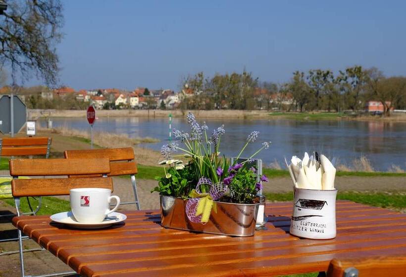 Отель Elbterrasse Wörlitz