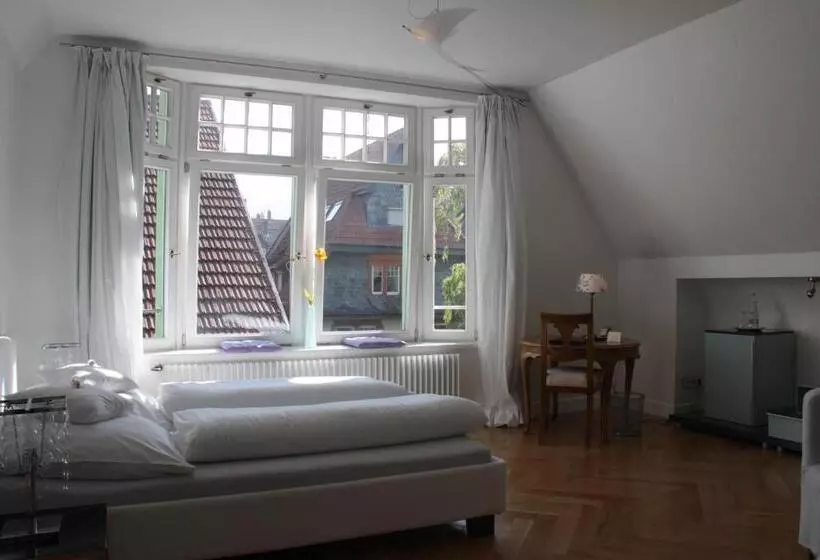 Отель Heidelberg Astoria