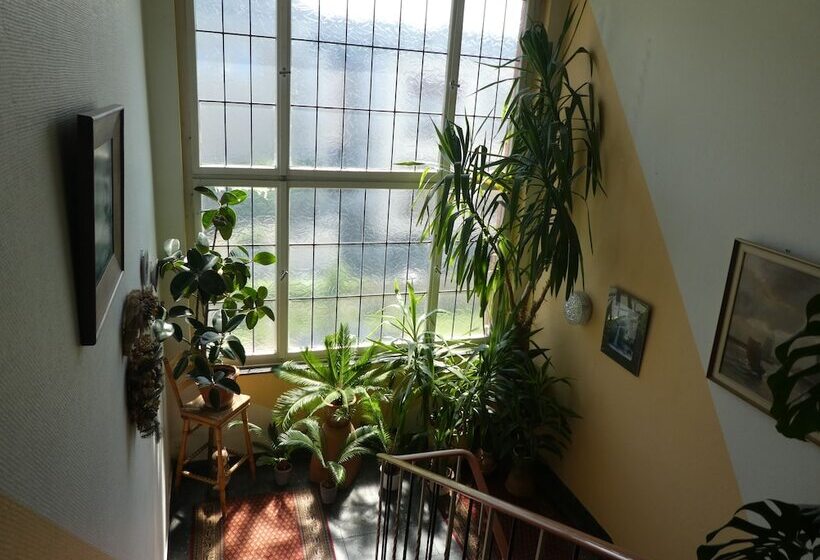 בית מלון כפרי Lex