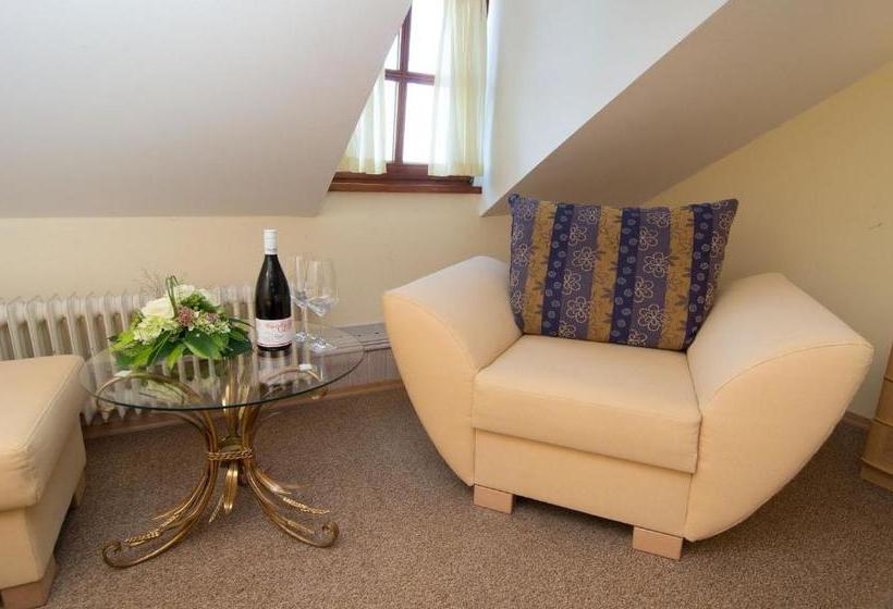 Schoiner See Hotel, Garni