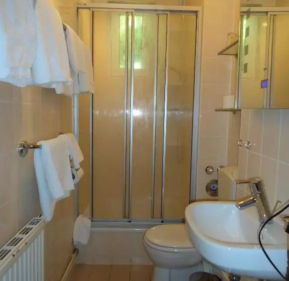 هتل Schweizer Hof