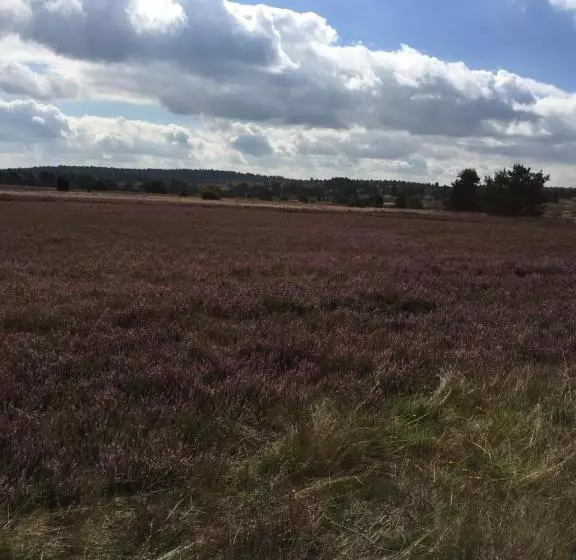 酒店 Undeloher Hof