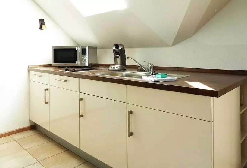 Отель Zur Alten Schmiede