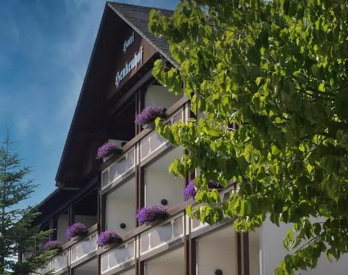 Landhotel Henkenhof Willingen