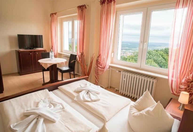 بنسيون Berggasthof Ziegenkopf